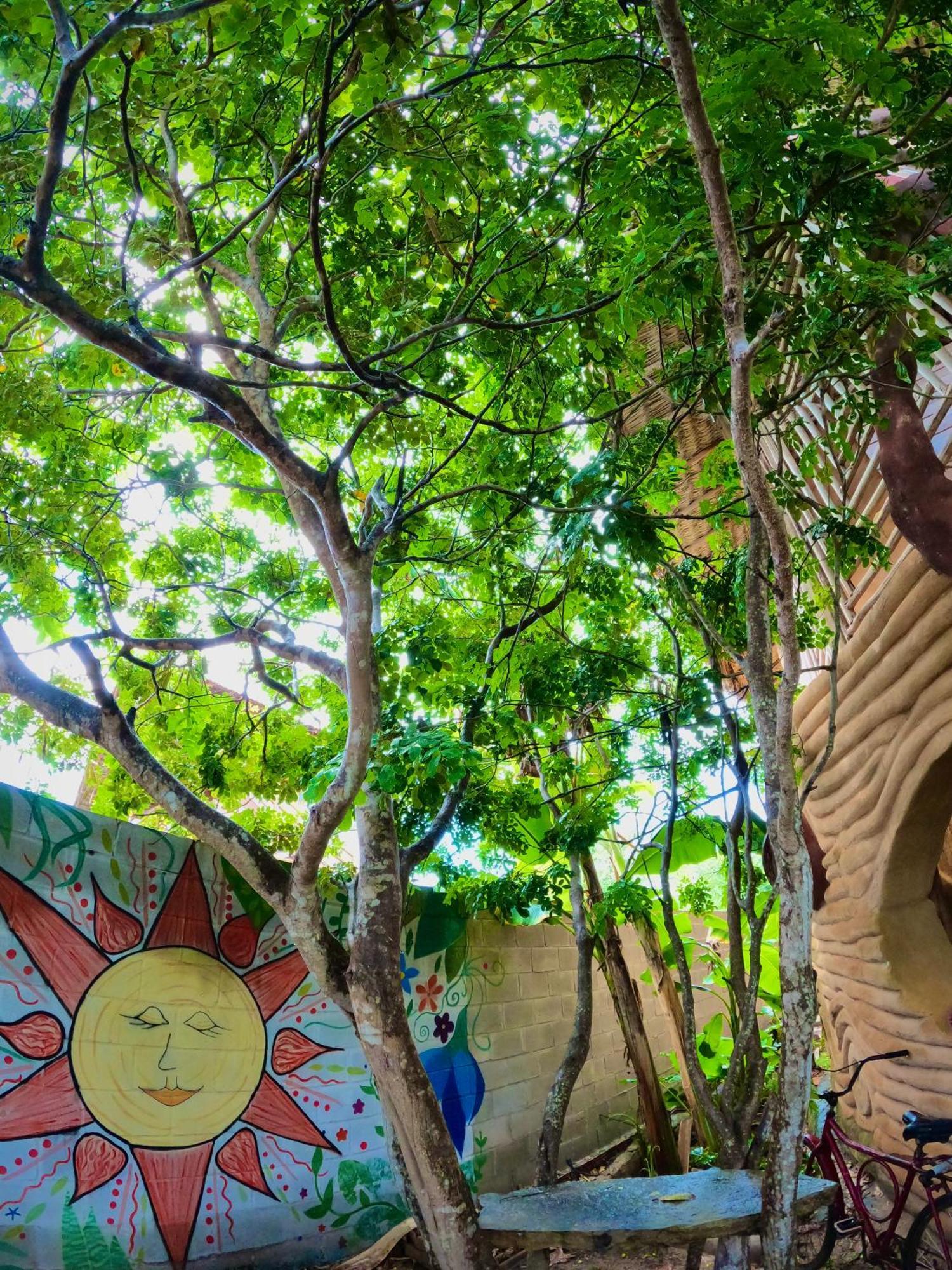 Raizes Eco Hostel 바라 그란데 외부 사진