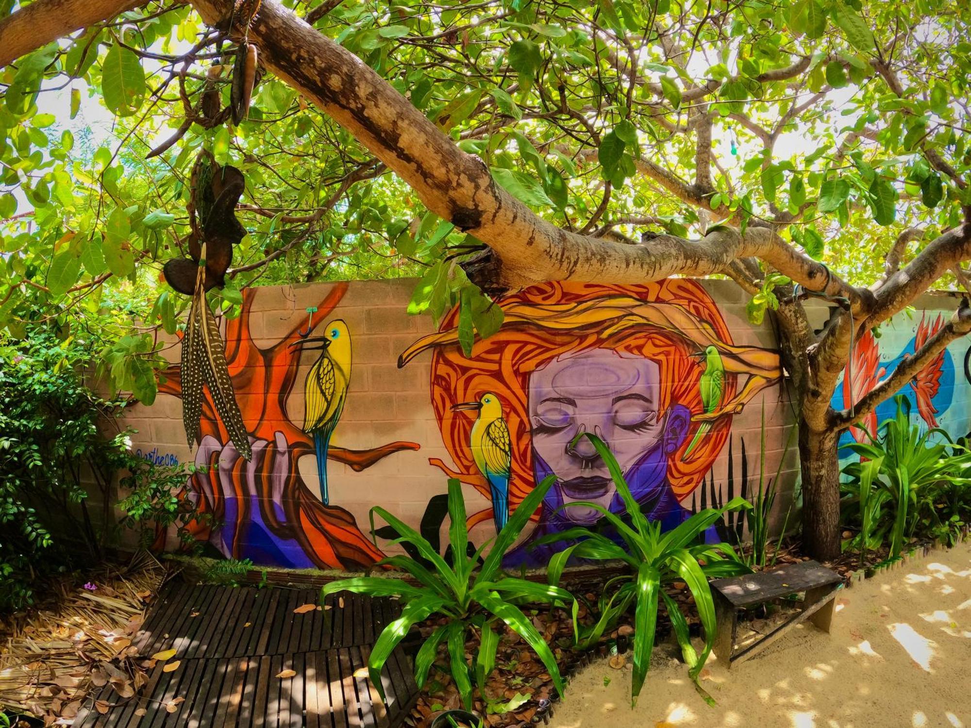 Raizes Eco Hostel 바라 그란데 외부 사진