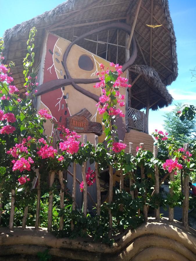 Raizes Eco Hostel 바라 그란데 외부 사진
