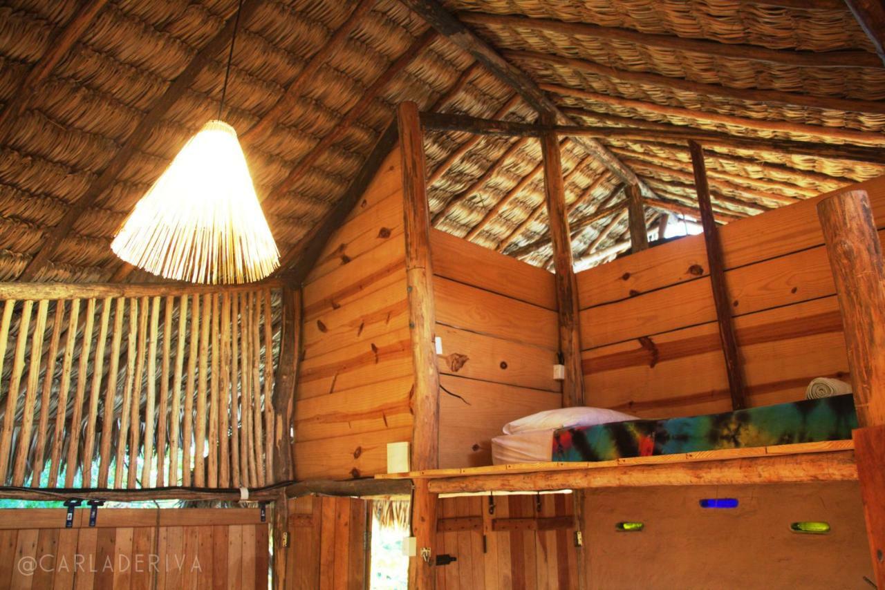 Raizes Eco Hostel 바라 그란데 외부 사진